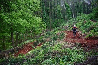 bosco montello