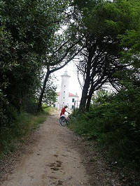 Bibione pineda sentiero