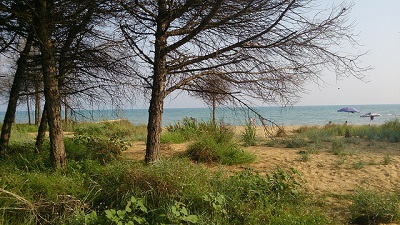 Bibione vegetazione e spiaggia