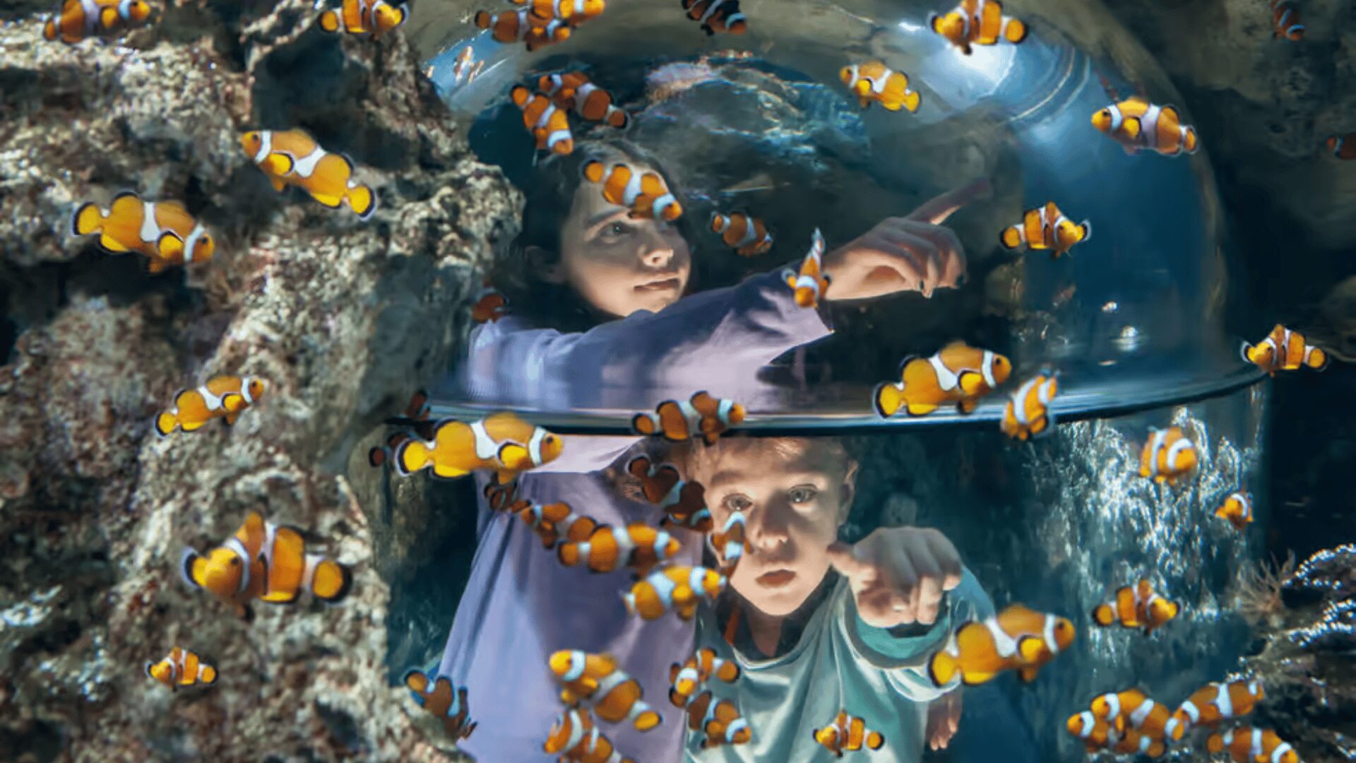 Acquario Gardaland, vasca di pesci con bambini che guardano