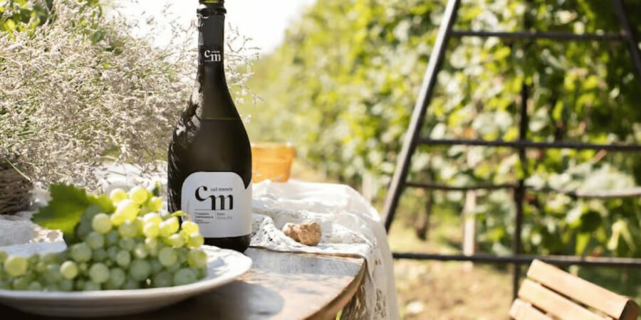 Prosecco della cantina Cal Monda, con sfondo dei vigneti