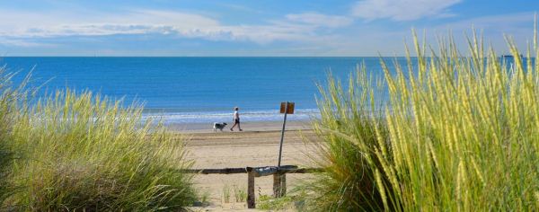 spiaggia villaggi cavallino