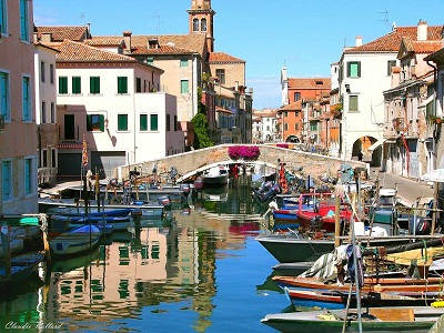 chioggia