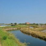 escursioni-jesolo-sile