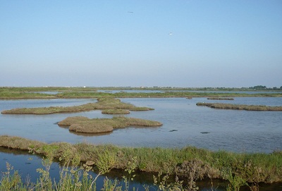 lagunacavallino